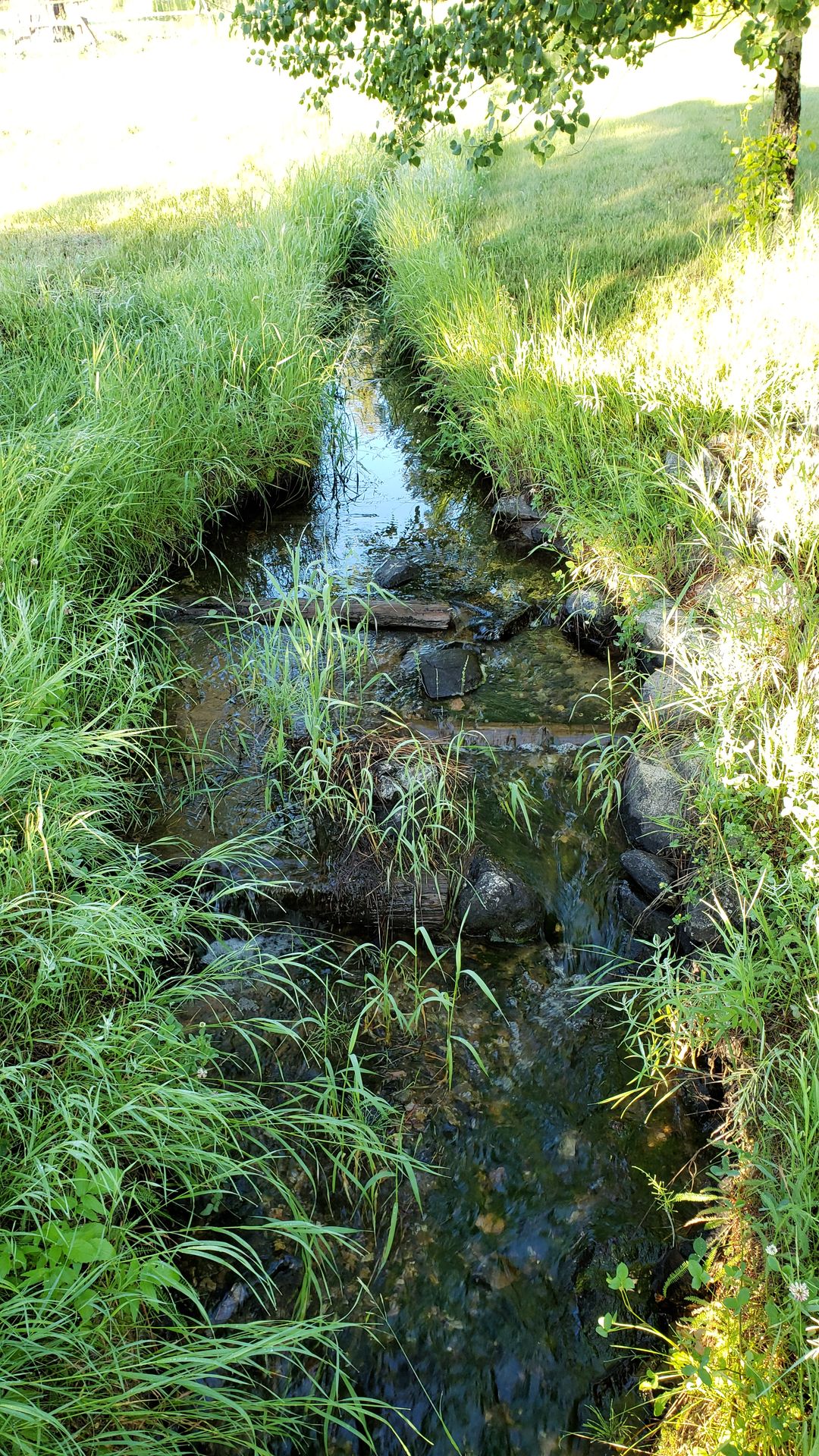 Creek running through grass in Aeneas Valley summer, near fishing and camping areas