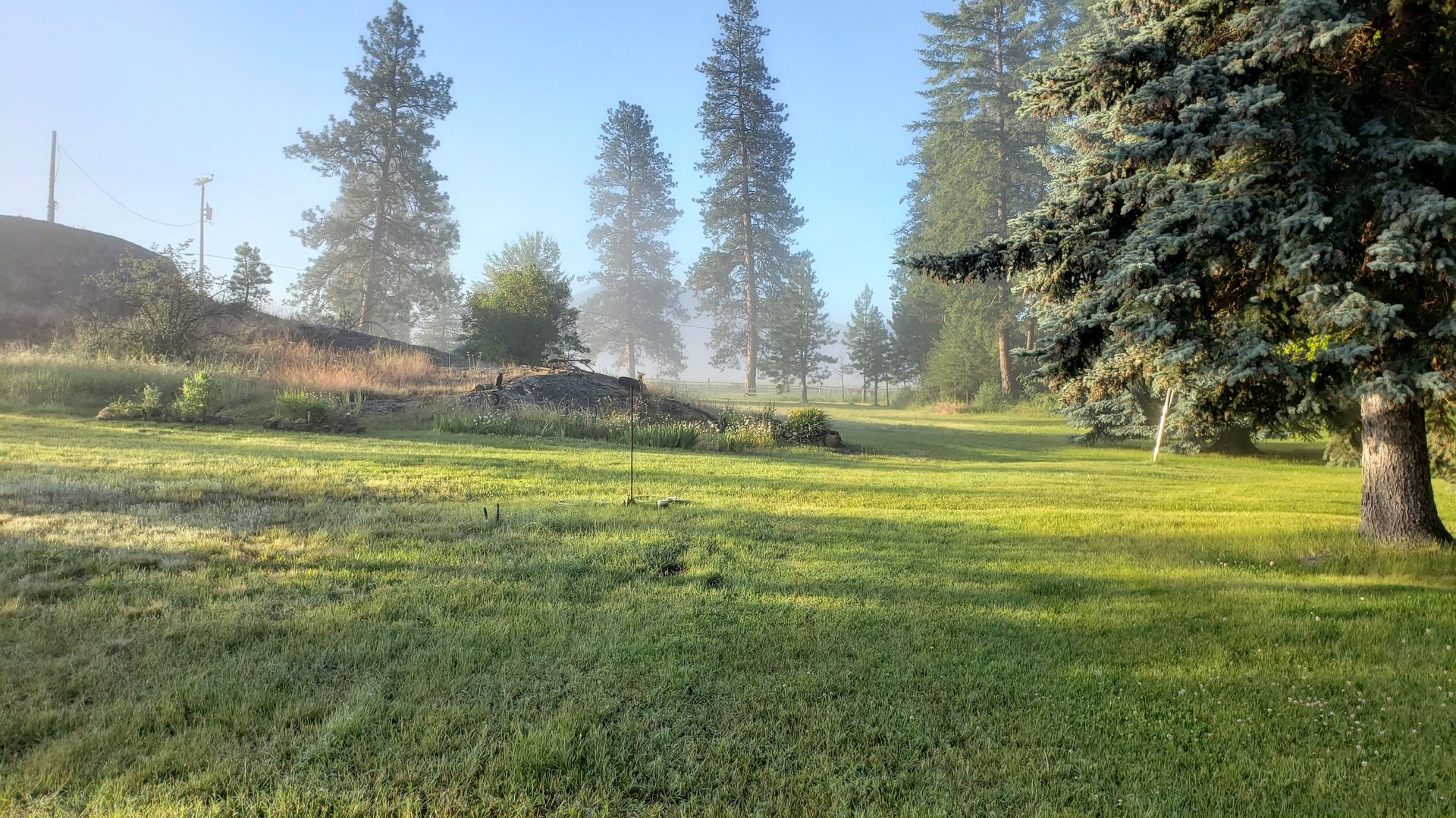 Morning mist over green property in Aeneas Valley, typical off-grid homestead setting